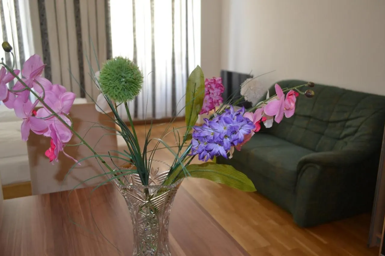 Goldfisch Apartment Taborstrasse Vídeň